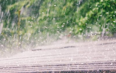 Roofs and Windows Hail Storm Damage Repairs